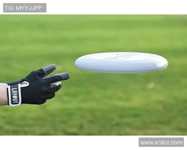 从零开始掌握飞盘技巧与战术全解析助你轻松入门飞盘运动