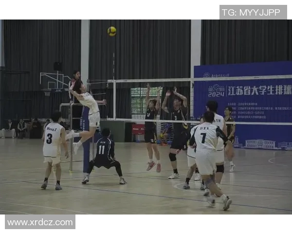 广州排球队技术实力提升排球技术排行榜中荣获第九名