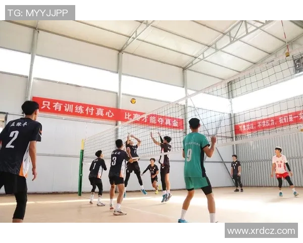 南京排球队在全国排球个人能力排行榜中荣登第九名引发热议