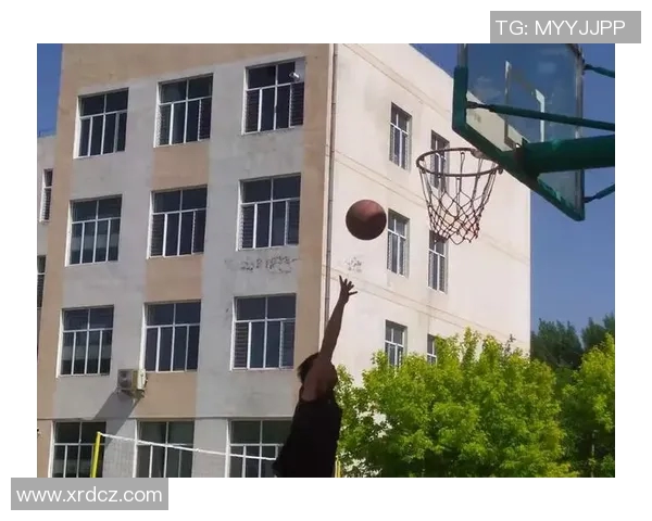 吴丽的篮球人生：从热爱到职业的深度对话与成长故事