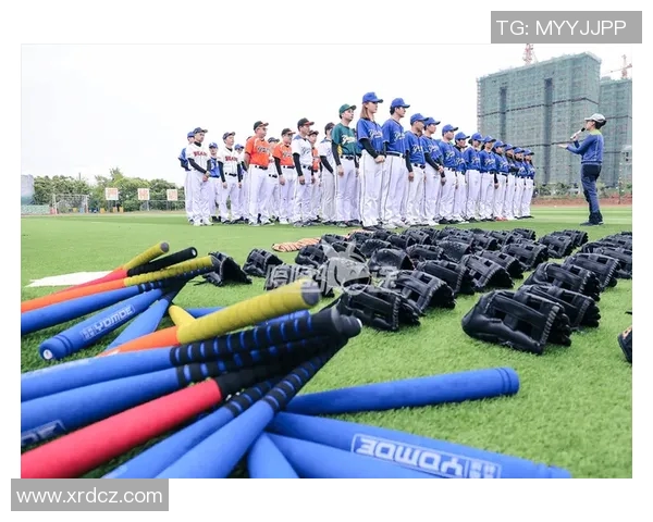 深圳篮球队的节奏探秘:从战术到团队协作的全面分析