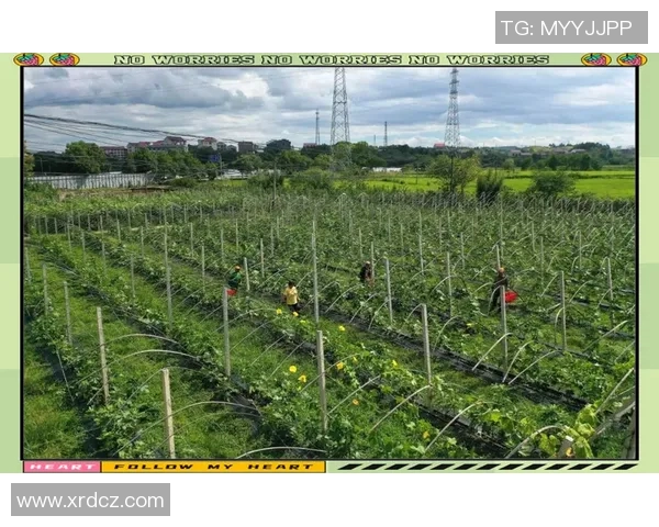 果园风光与生态种植结合的创新发展路径探索及实践意义分析