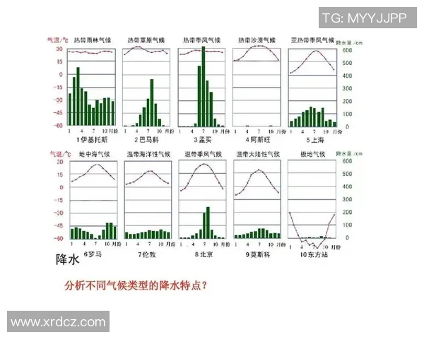 LNG战队中路选手表现分析及其对比赛胜负的影响探讨