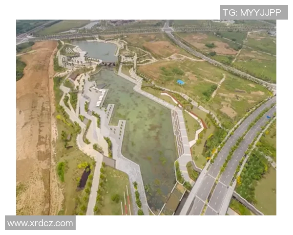 南京极限运动队节奏对比深度解析与发展趋势探讨