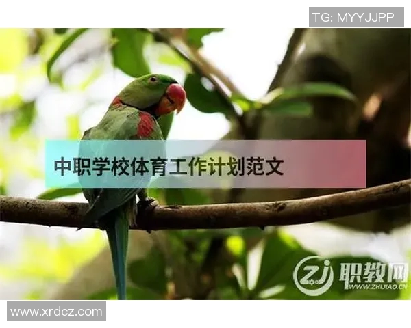 提升心理素质助力竞技表现北京羽毛球队的心理训练探索与实践