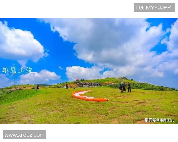 极限运动的战术解析：杭州极限运动队如何构建高效区域防守体系