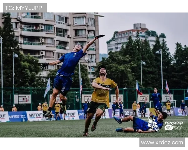 深圳飞盘队的团队协作之道:如何在飞盘运动中实现默契与配合
