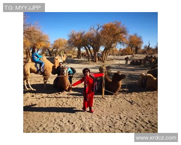 滑板人生的深度对话:赵强与梦想的追逐与坚持