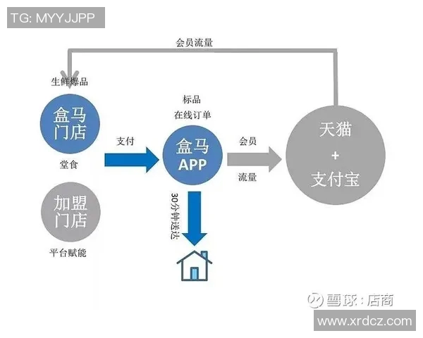 上海足球队的运营模式与发展策略深度解析 上海足球队的运营模式与发展策略深度解析