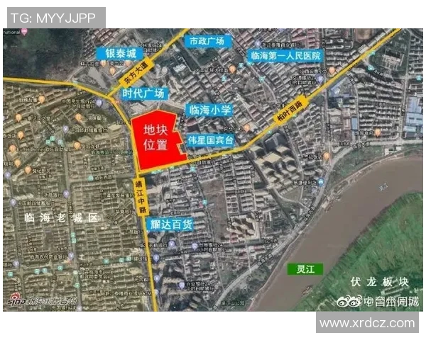 杭州乒乓球队中路突破革新助力竞技水平提升的深度解析与展望