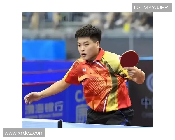 乒乓球的魅力与速度揭秘:走进杭州乒乓球队的训练与比赛世界 乒乓球的魅力与速度揭秘:走进杭州乒乓球队的训练与比赛世界